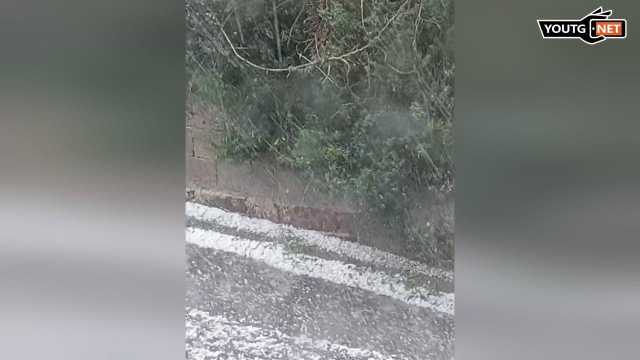 Photo 5985647521457882552 Y