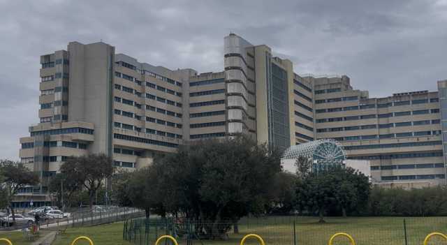 Photo 6048721602985706693 Y