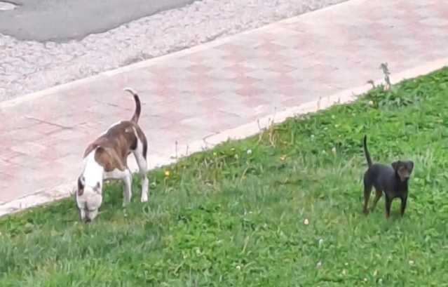 494596325 4128327647388220 2959199993674964669 N