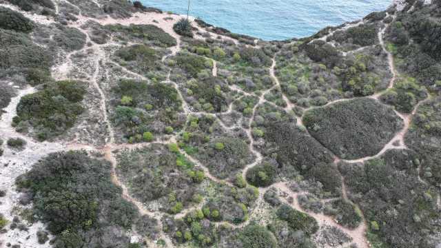 54503617385 D9a6a06acb O