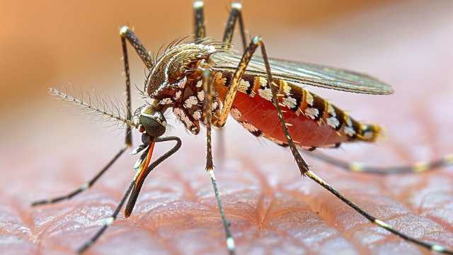 Imagoeconomica 2143194