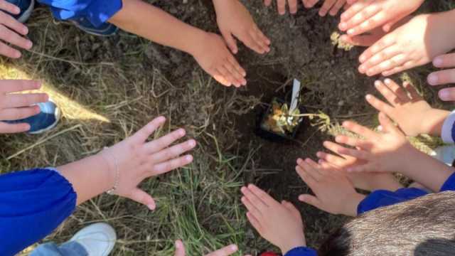 Albero Per Il Futuro Villamar