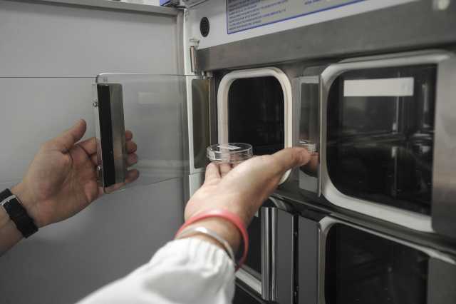 Imagoeconomica 740181