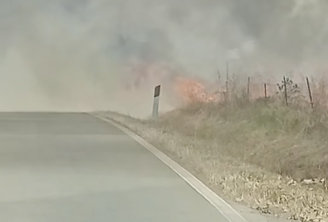 Incendio Lungo La Sp4