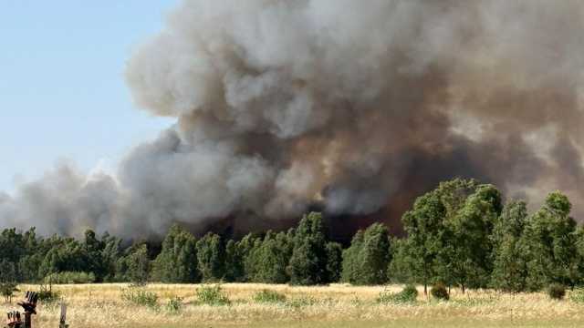 WhatsApp Image 2025 06 17 At 17.15.53