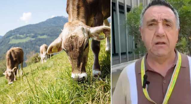 Coldiretti Sardegna Bovini