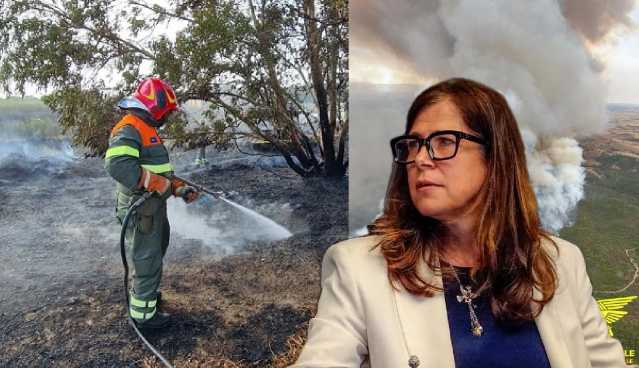 ALESSANDRA TODDE INCENDI