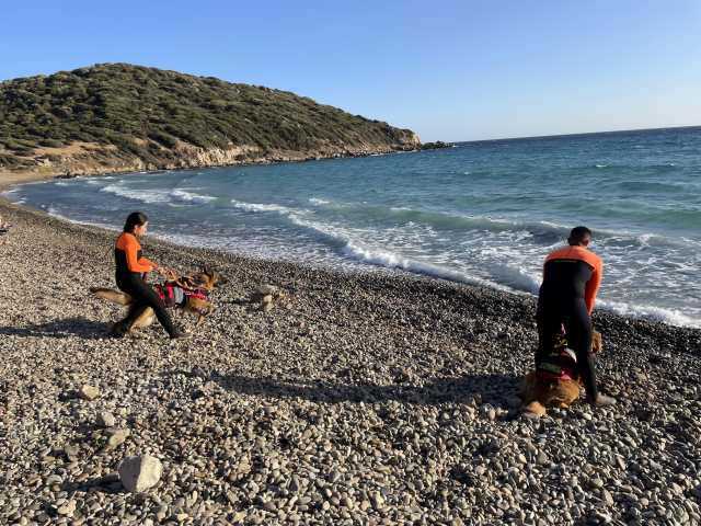 Cani Da Salvamento In Azione A Mari Pintau