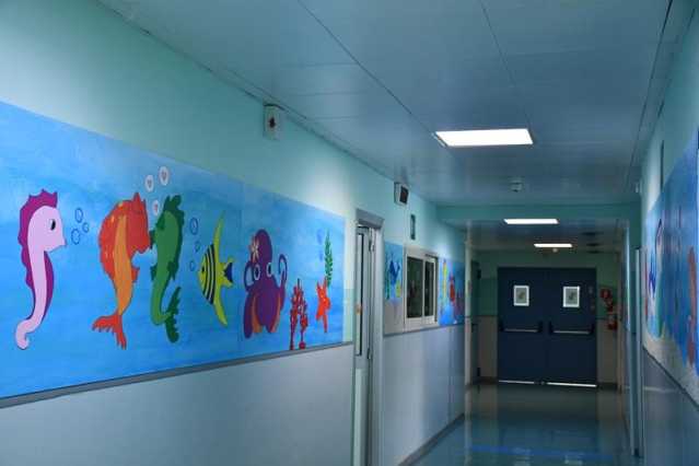 I Pannelli Degli Studenti Del Figari