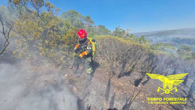 Incendi Sardegna