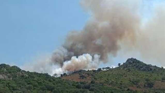 Incendio Sardegna 3