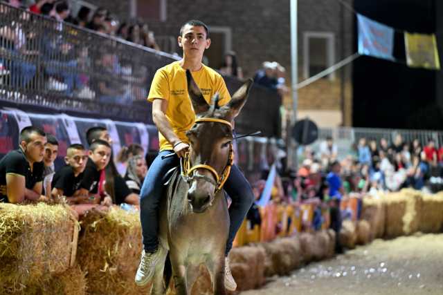 Ollolai Palio Asinelli