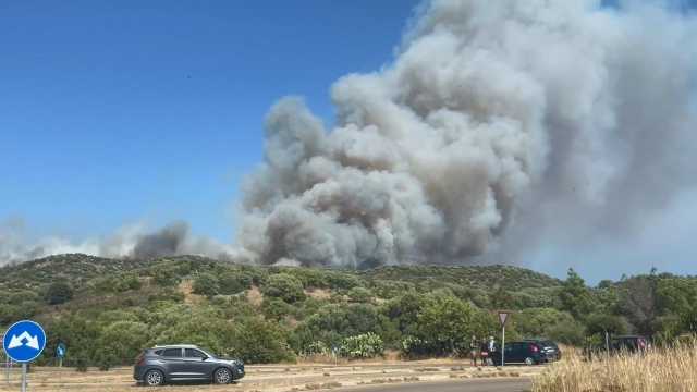 VID 20250727 161809 759.mp4