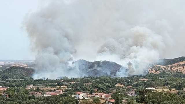 WhatsApp Image 2025 07 25 At 17.10.25 1