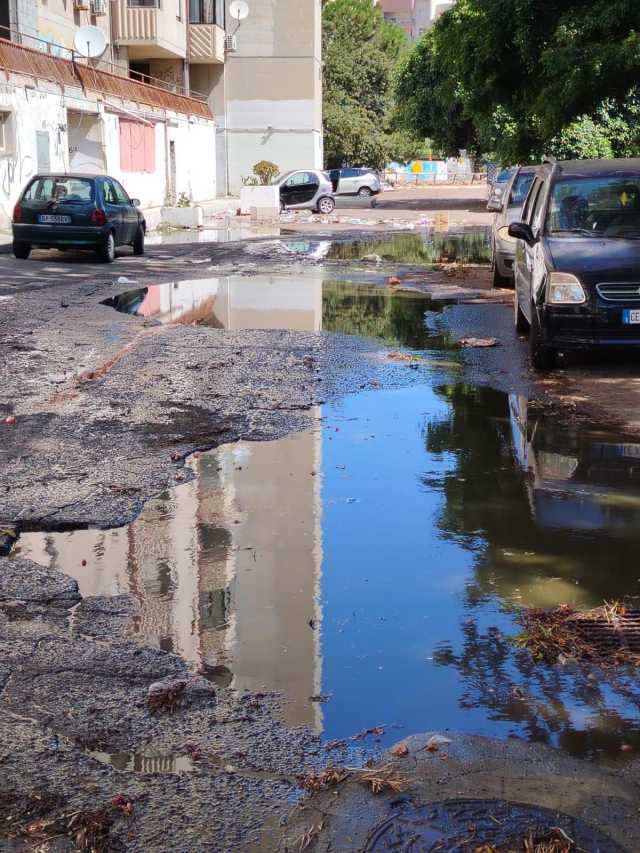 Cd5437ee Cd63 4d45 Bdf0 595e6a40b604