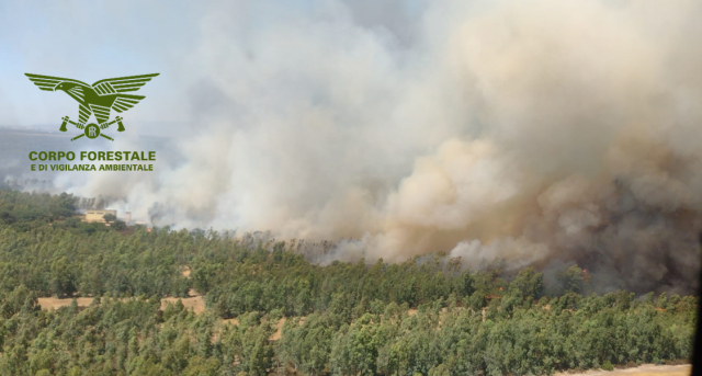 Corpo Forestale Fumo Incendio