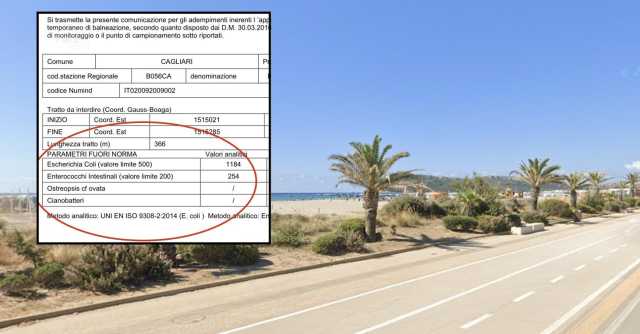 Escherichia Coli Arpas Poetto
