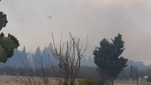 Photo 5771531358663985226 Y