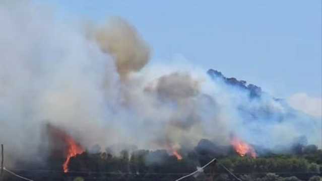 Photo 5783182973577842276 Y