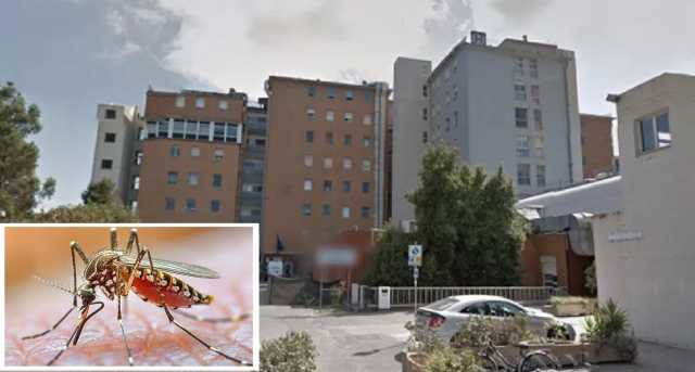 San Martino Oristano Zanzara