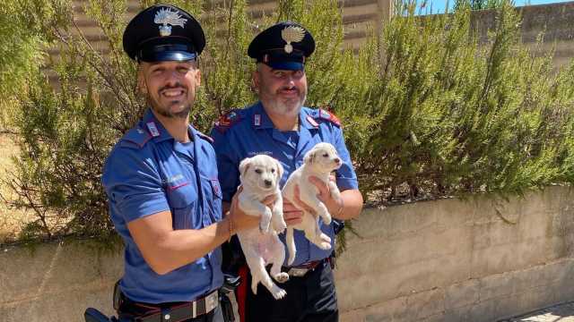 WhatsApp Image 2025 08 01 At 14.38.08