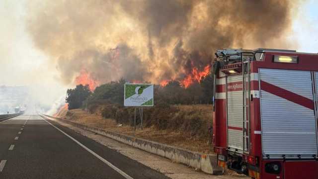 WhatsApp Image 2025 08 07 At 14.45.43