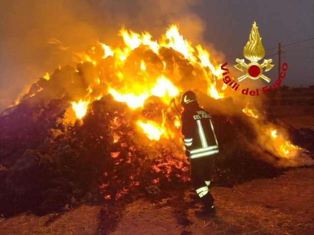 WhatsApp Image 2025 08 09 At 13.24.33 1