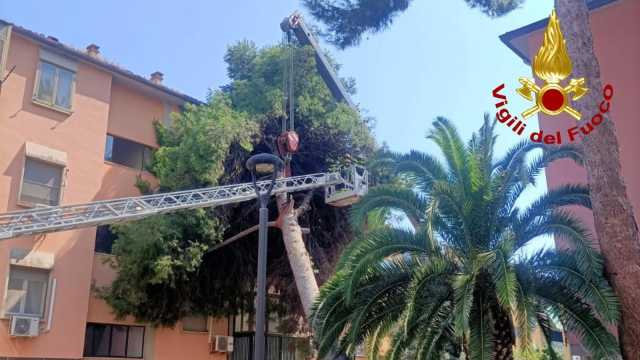 WhatsApp Image 2025 08 13 At 18.46.34