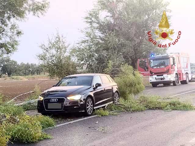 WhatsApp Image 2025 08 18 At 09.34.51