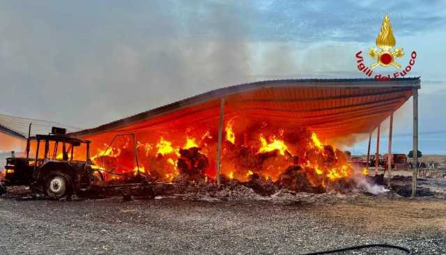 WhatsApp Image 2025 08 26 At 08.20.55