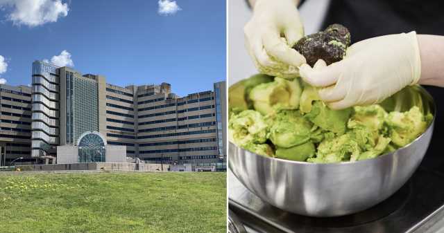 Brotzu Ricoveri Botulino