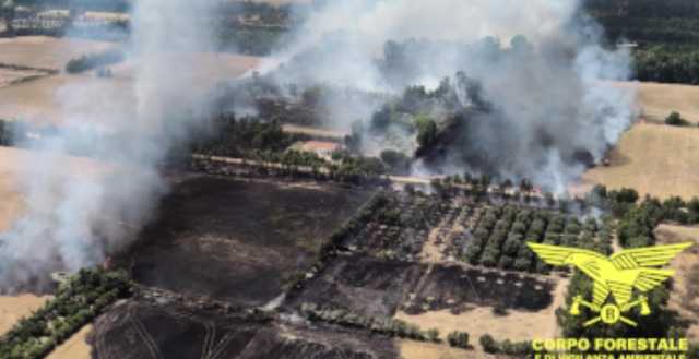 Corpo Forestale Incendi Dolosi