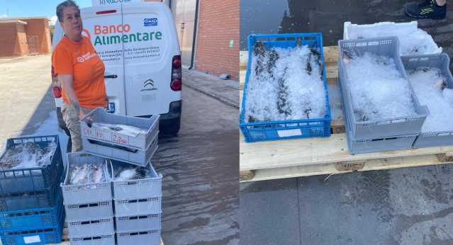 Pesce Sequestrato Asl Oristano