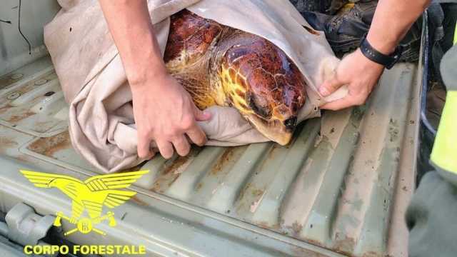 54779627697 041f7cf4a1 B