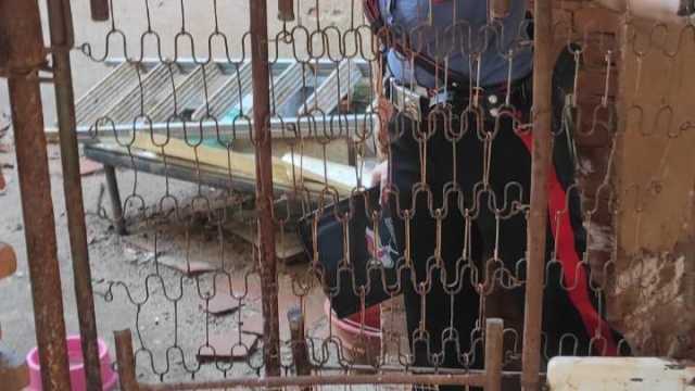 WhatsApp Image 2025 09 12 At 12.02.59