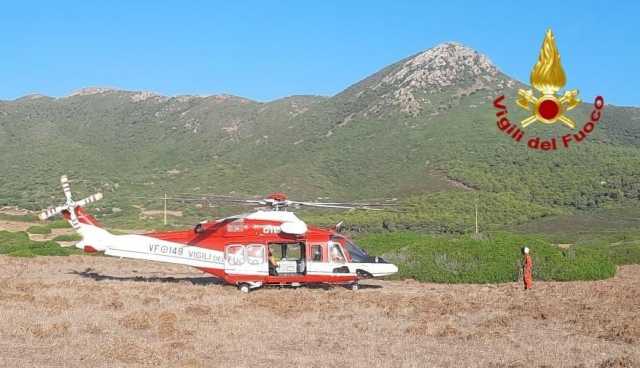 Cadavere Capo Pecora