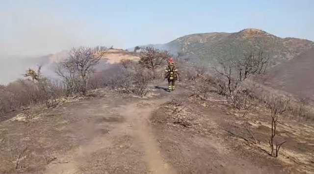 Incendio Sardegna Foto Simbolo