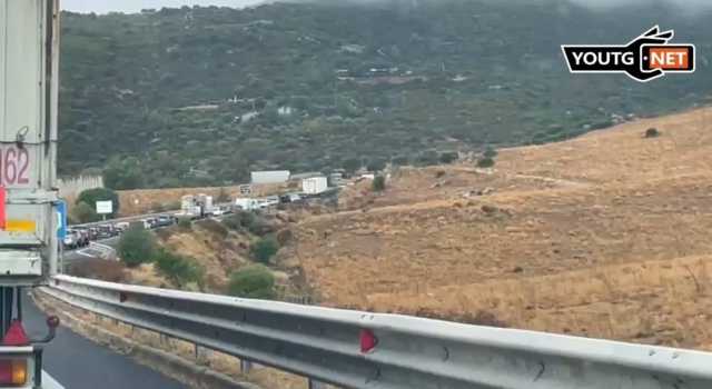 Photo 5911371709955558425 Y