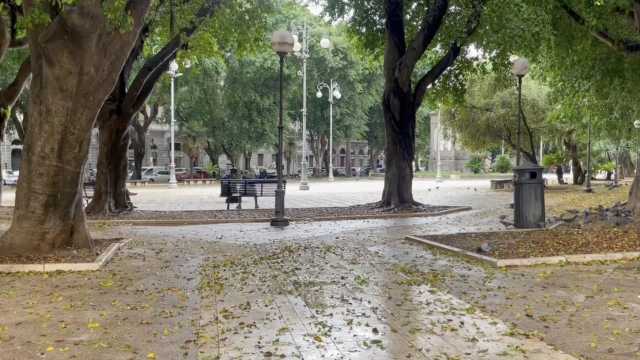 Piazza Del Carmine Youtg