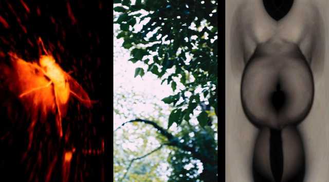 Nature Concrete Image