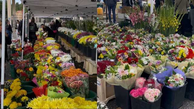 Cimitero San Michele