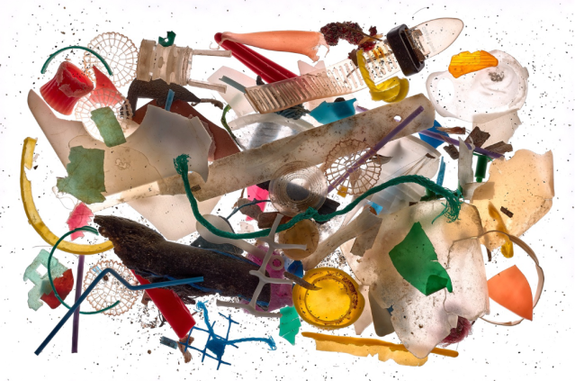 Mostra Palazzo Ducale