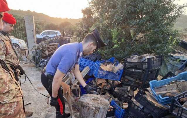 Carabinieri Con I Cani Controllo