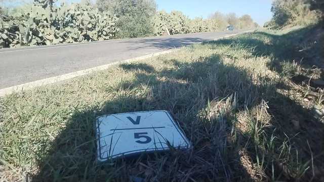 Photo 5994727352904567848 Y