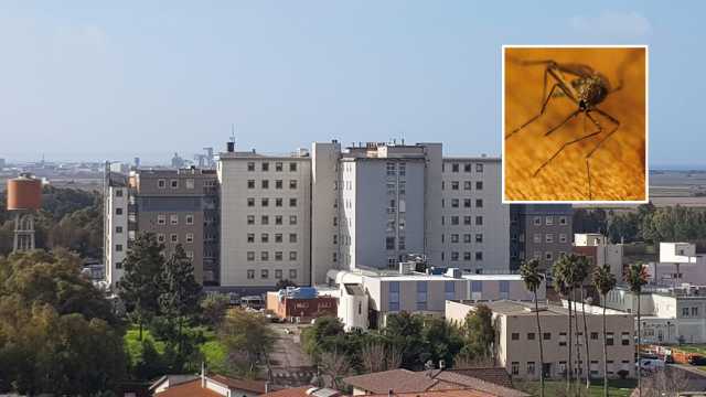 San Martino Zanzara R