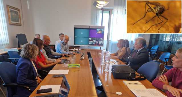 Zanzara Oristan Riunione