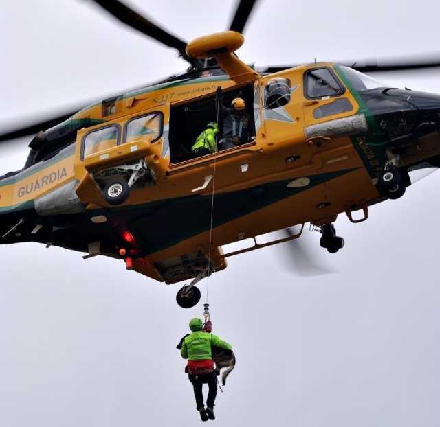 33940225 4303 418d 823d 5dd5f48421ad