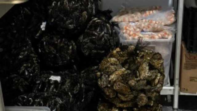 Cozze E Ostriche Sequestrate