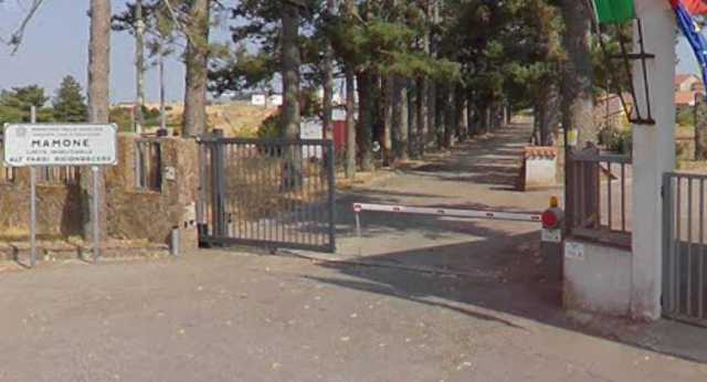 Mamone Carcere