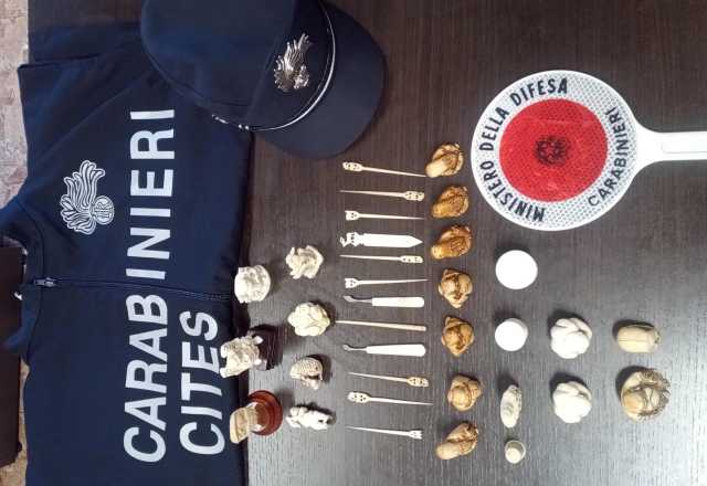 WhatsApp Image 2025 11 18 At 09.20.40